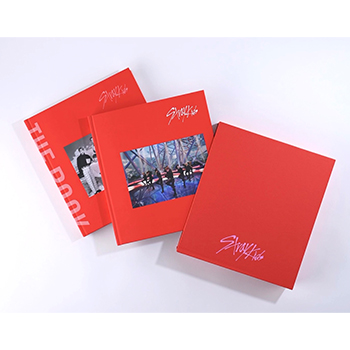 D'FESTA COMPLETE EDITION STRAY KIDS 