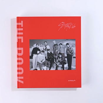 D'FESTA COMPLETE EDITION STRAY KIDS 