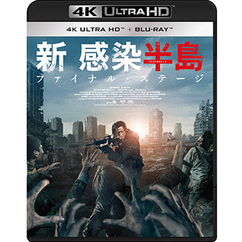 2025年激安 新感染半島 ファイナル・ステージ DVD 検査キット