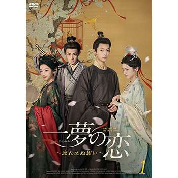 一夢の恋~忘れえぬ想い~ DVD-BOX