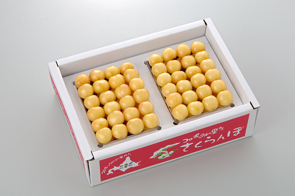 【さくらんぼ】　月山錦　1kg (500g×2) 2L玉以上　Yes Clean!（北海道クリーン農作物） 認定栽培