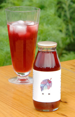 シソ飲料　180ml