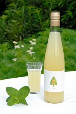 ヤーコンジュース