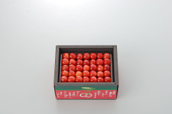 【さくらんぼ】　紅秀峰　500g L玉以上　Yes Clean!（北海道クリーン農作物） 認定栽培  [7月中旬より出荷]