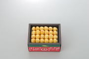 【さくらんぼ】　月山錦　500g 2L玉以上　Yes Clean!（北海道クリーン農作物） 認定栽培