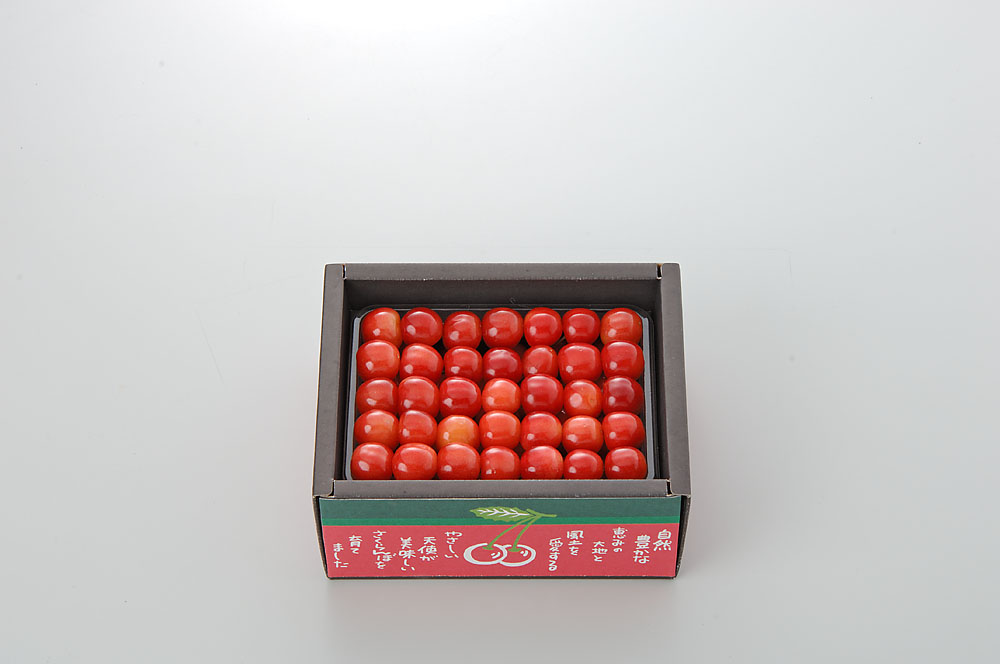 【さくらんぼ】　紅秀峰　500g L玉以上　Yes Clean!（北海道クリーン農作物） 認定栽培  [7月中旬より出荷]