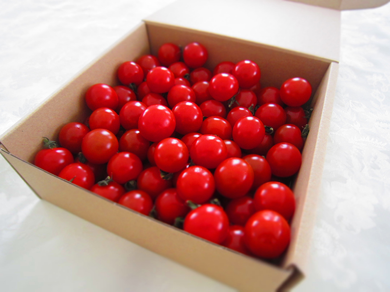 【ミニトマト】　キャロルセブン　1kg 無農薬栽培 (送料無料）