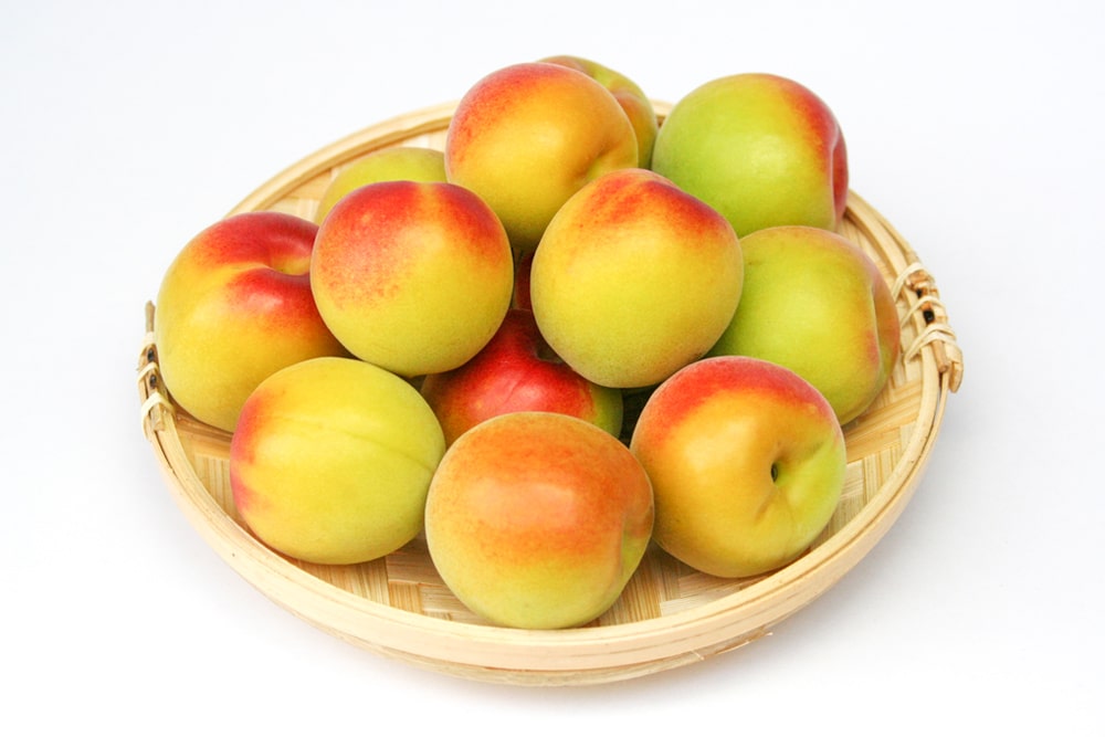 送料込み】完熟梅 10kg