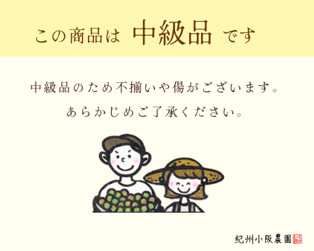 はちみつ二度仕込み　中級品
