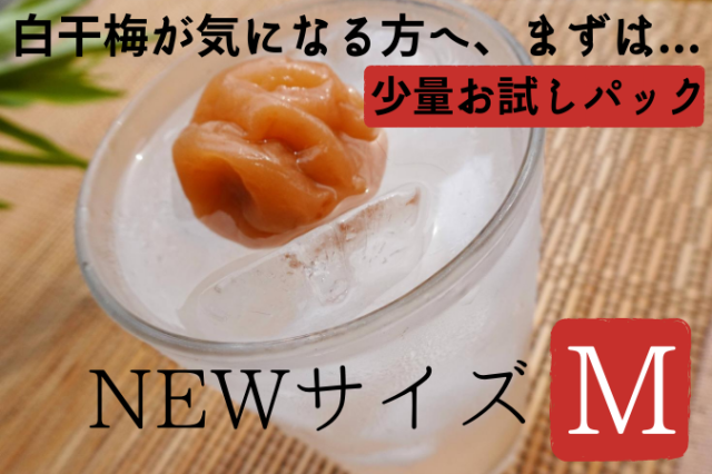 白干　2020夏　300ｇ　8月以降～