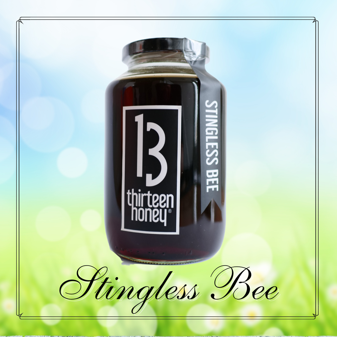 BLOOM&BRANCH 別注 KAPTAIN SUNHINE タッサーシルク