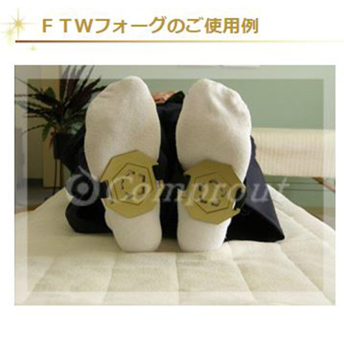 【新品未使用】 FTWフォーグ FTWフォーグ平面 2枚1組｜FTWセラミックス｜遠赤外線