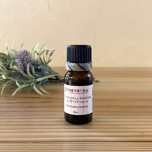 【100％天然アロマオイル】ユーカリ・ラディエータ10ｍｌ【精油】オーストラリア産