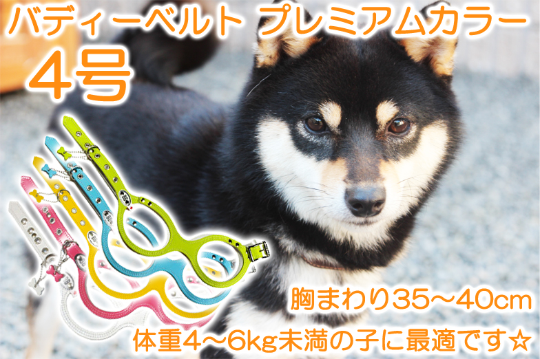 究極のハーネス『バディーベルト』プレミアムカラー4号（胸まわり35～40cm） 本革なので高級感があり、丈夫で色のバリエーションも豊富です☆