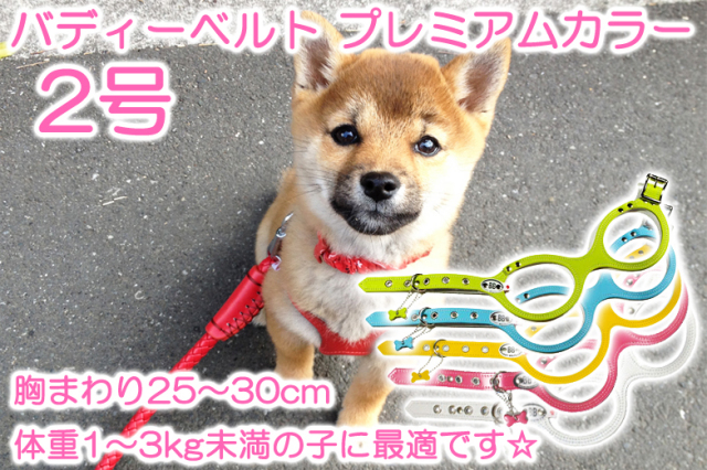 究極のハーネス『バディーベルト』プレミアムカラー2号（胸まわり25～30cm） 本革使用なので高級感があり、丈夫で色のバリエーションも豊富です☆