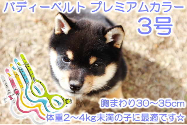 究極のハーネス『バディーベルト』プレミアムカラー3号（胸まわり30～35cm） 本革使用なので高級感があり、丈夫で色のバリエーションも豊富です☆