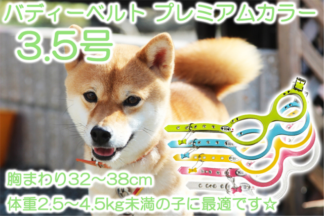 究極のハーネス『バディーベルト』プレミアムカラー3.5号（胸まわり32～38cm） 本革なので高級感があり、丈夫で色のバリエーションも豊富です☆