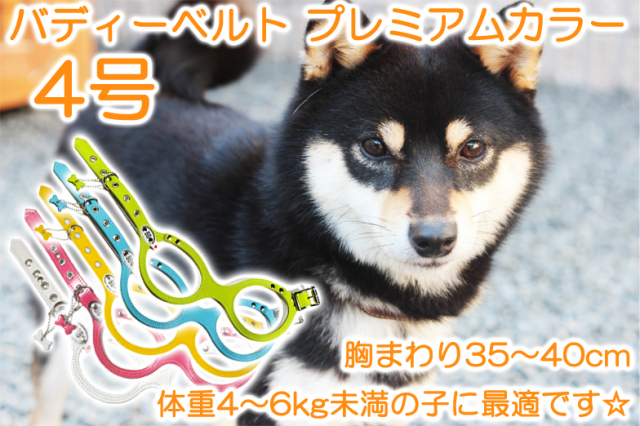 究極のハーネス『バディーベルト』プレミアムカラー4号（胸まわり35～40cm） 本革なので高級感があり、丈夫で色のバリエーションも豊富です☆