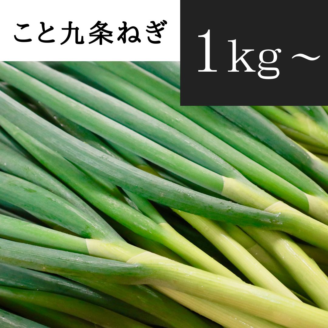 京都府産　こと九条ねぎ 1kg～ (根切り原体バラ)