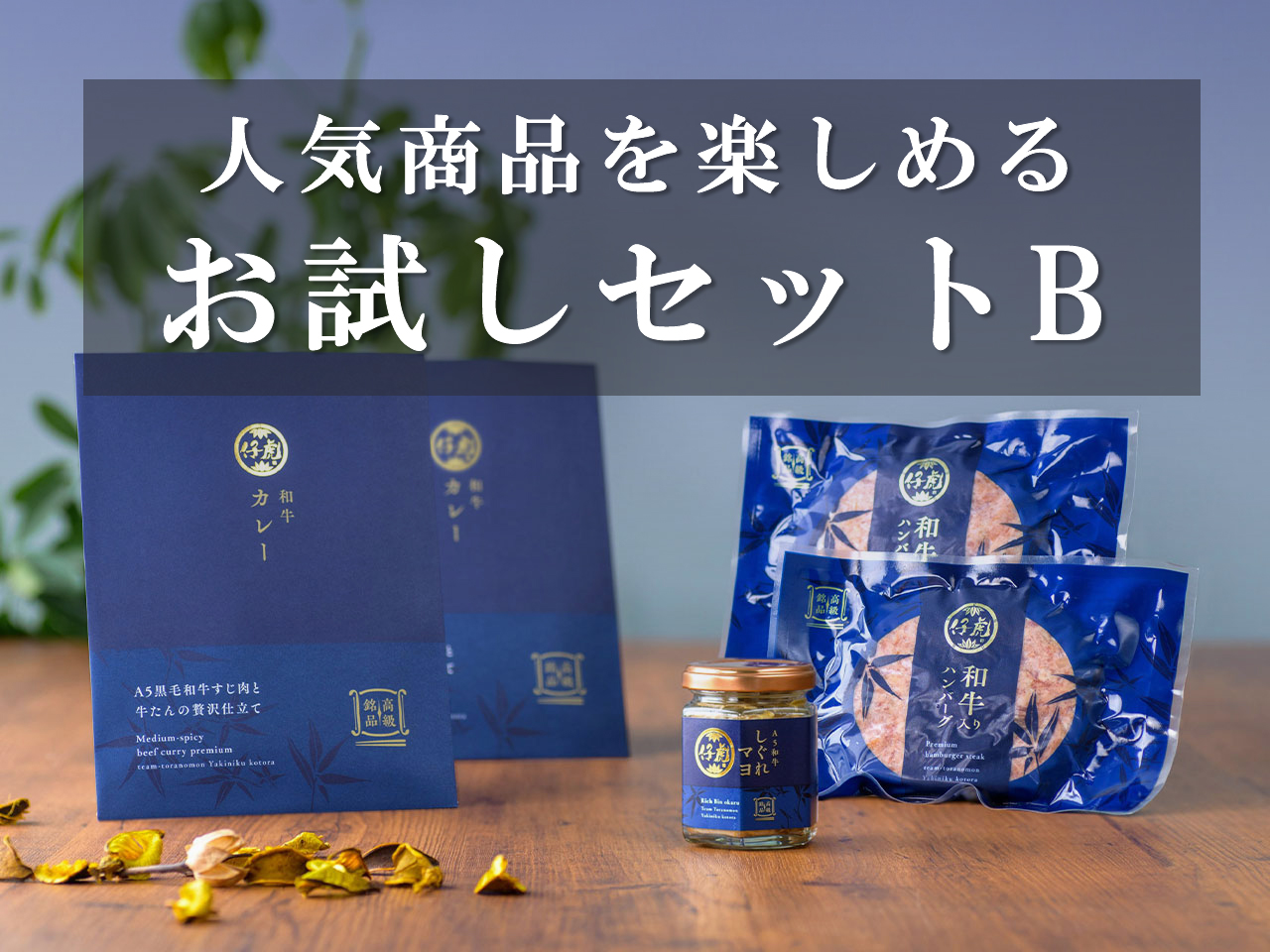お試しセットB