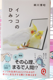 インコのひみつ