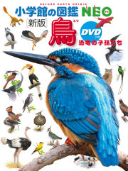 図鑑　鳥