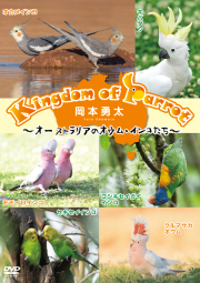 オーストラリアのオウムインコたち