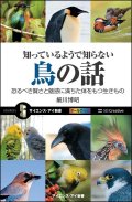 鳥の話