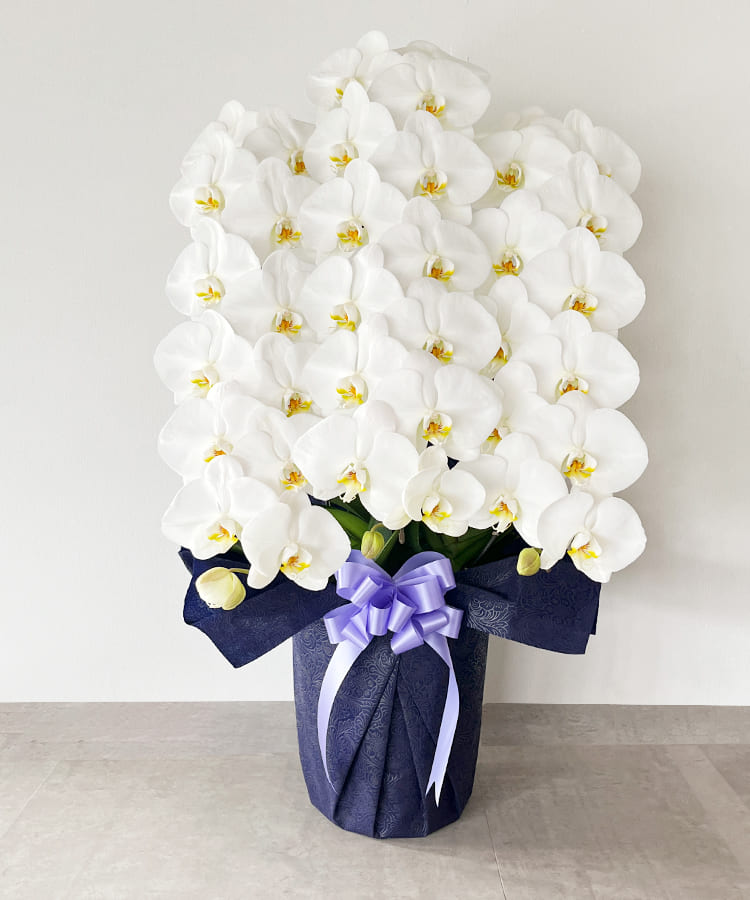 お悔み専用　白大輪胡蝶蘭　3本立ち　39輪程度