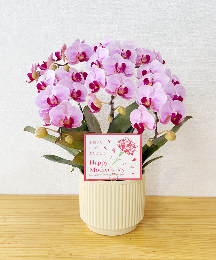 Valentine3F　母の日