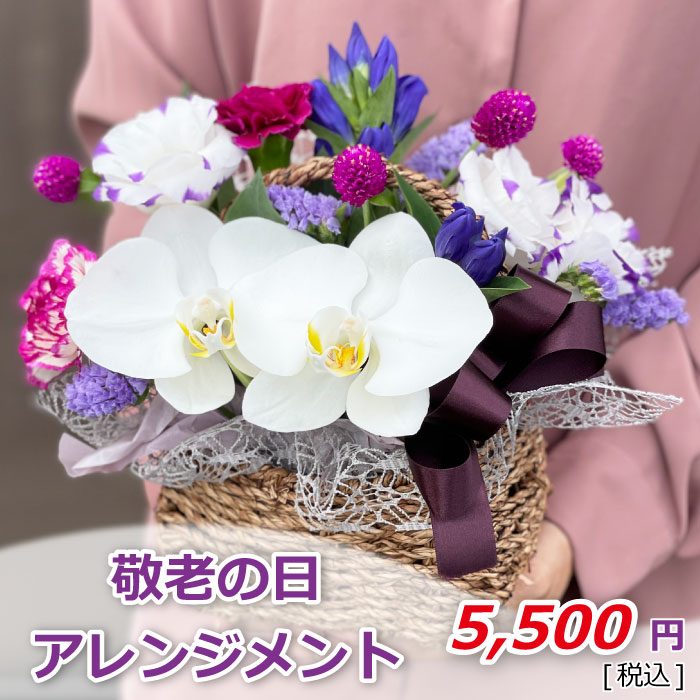 アレンジメント 敬老の日 価格