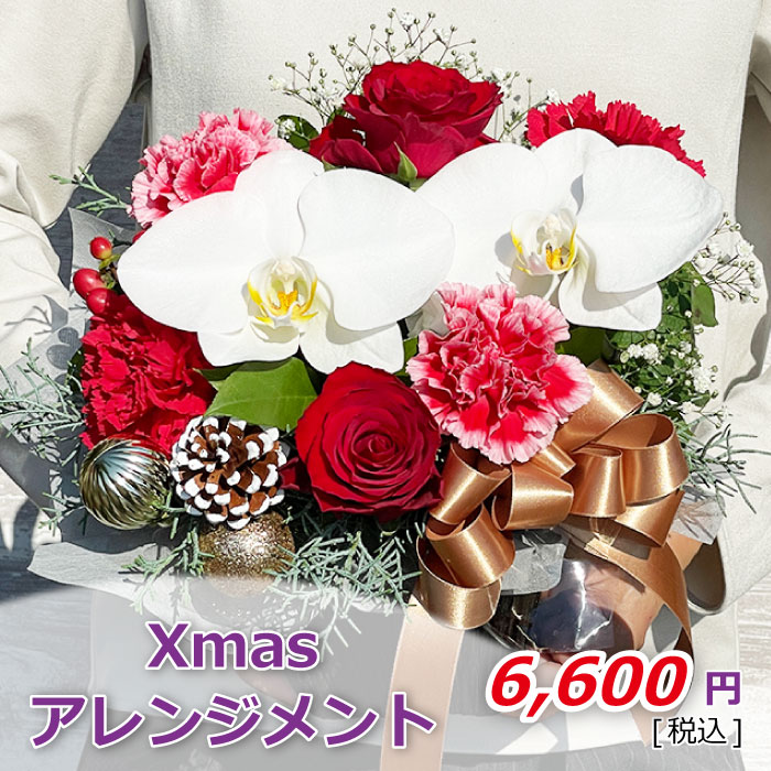 Xmas アレンジメント 2022 価格
