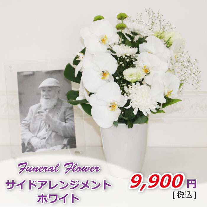 サイドアレンジホワイト(税込)