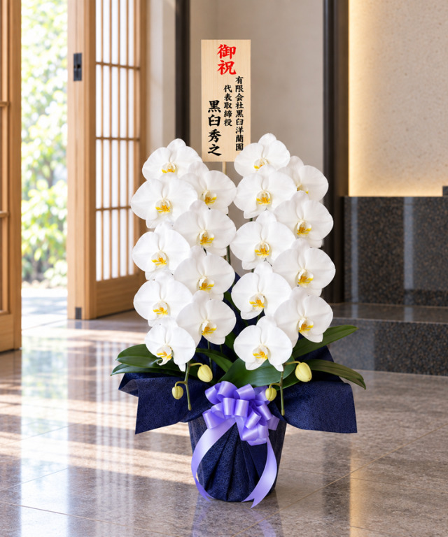 白2本立ちお供え