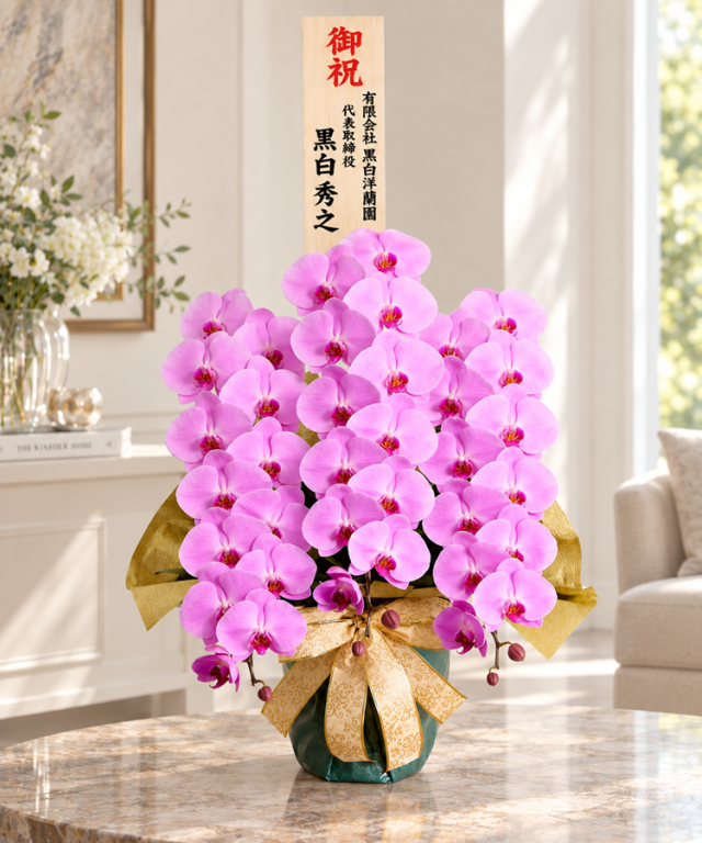 胡蝶蘭 ピンク 3本立ち42輪程度 生花｜ 胡蝶蘭専門店 黒臼洋蘭園直売