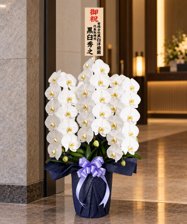 お供え専用】胡蝶蘭 白 3本立ち30輪程度 生花 ｜ 胡蝶蘭専門店 黒臼洋