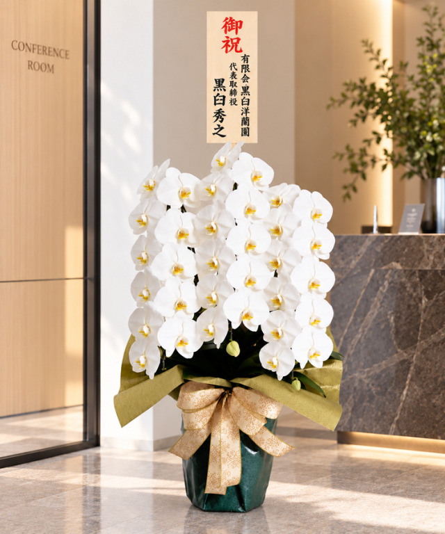 白3本立ち36輪