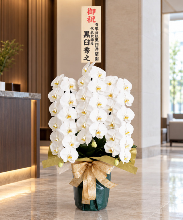白3本立ち39輪