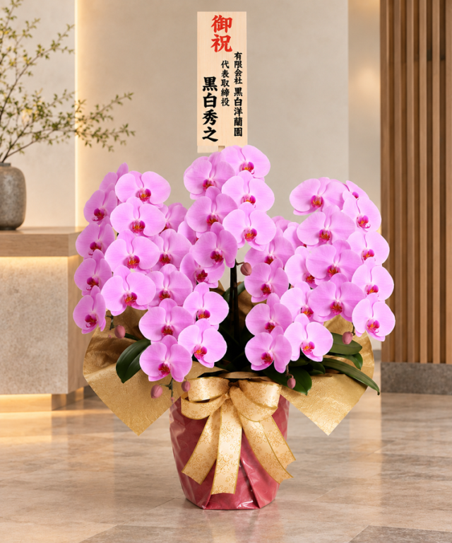 ピンク大輪5本立ち50輪