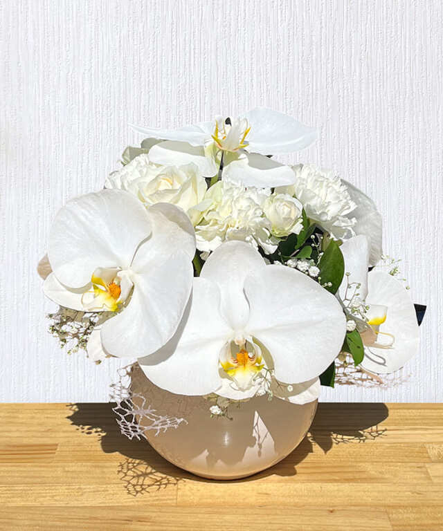 胡蝶蘭アレンジ　コロン　ホワイト　置き