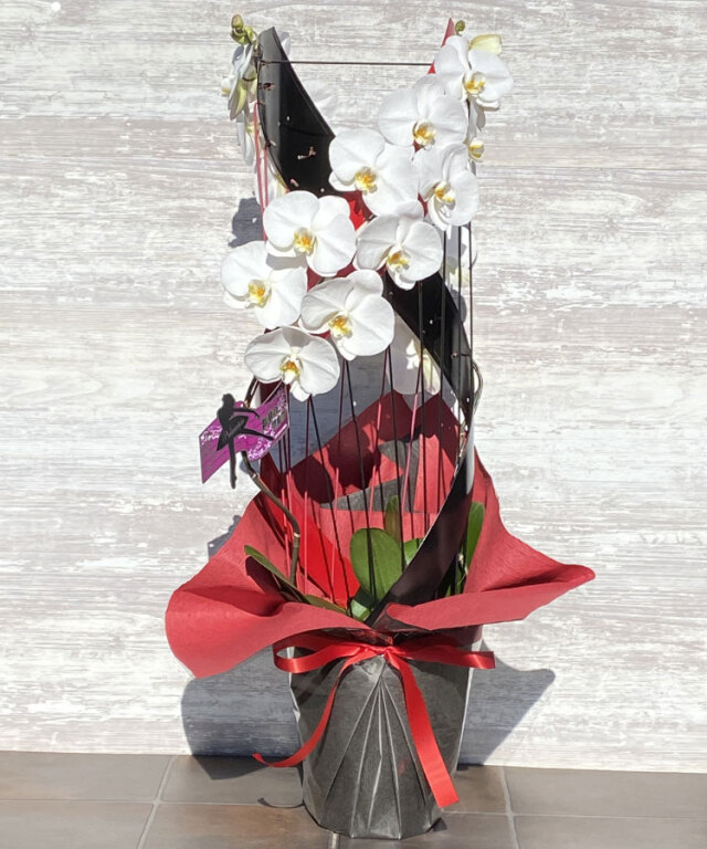 胡蝶蘭 造花 アートフラワーMATSUZAKI｜お祝い花、花プレゼント、開店、移転、造花