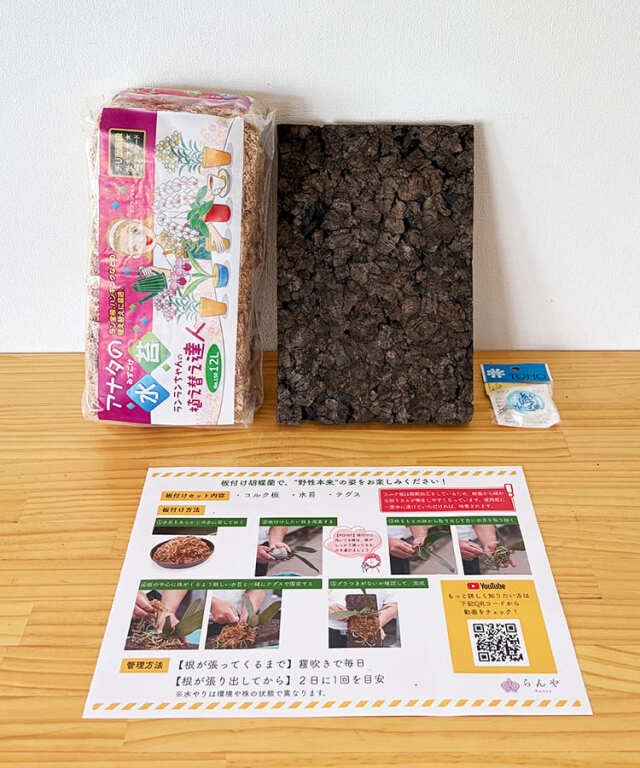 植替え資材　板付けセット