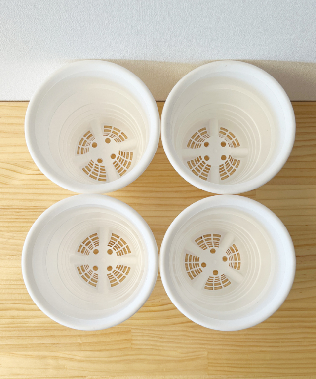 植替えセット　プラ鉢５号　上
