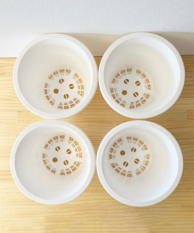 植替えセット　プラ鉢６号　上