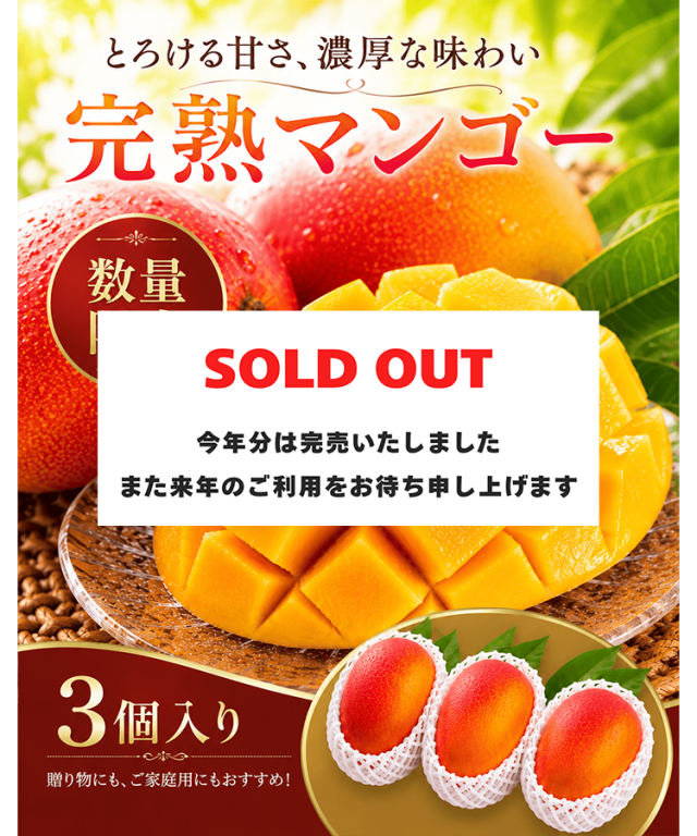 完売　マンゴー　３個