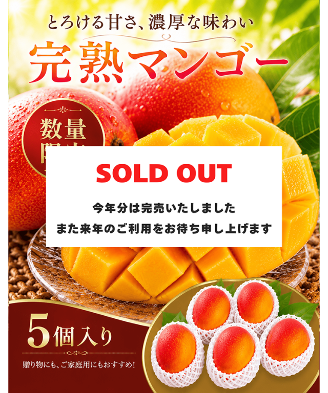 完売　マンゴー　５個