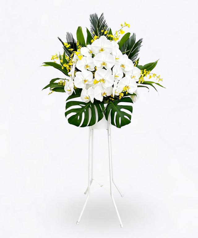 スタンド　ライト　サイズ