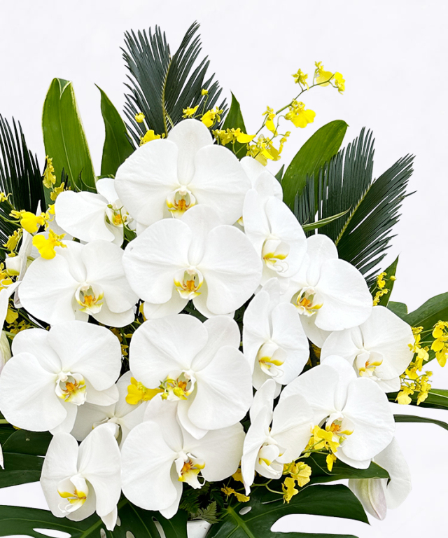 スタンド　ライト　アップ