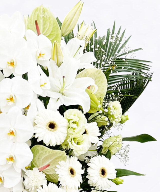 スタンド　キャスケード　ホワイト／グリーン　アップ