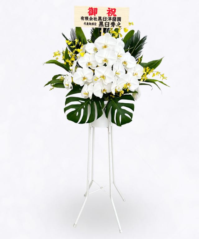 スタンド　ライト　札見本